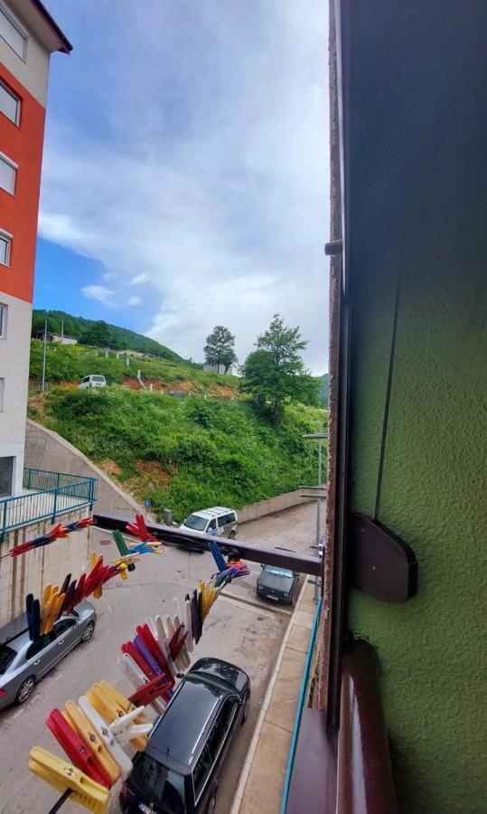 Apartman Pavle 플루지네 외부 사진