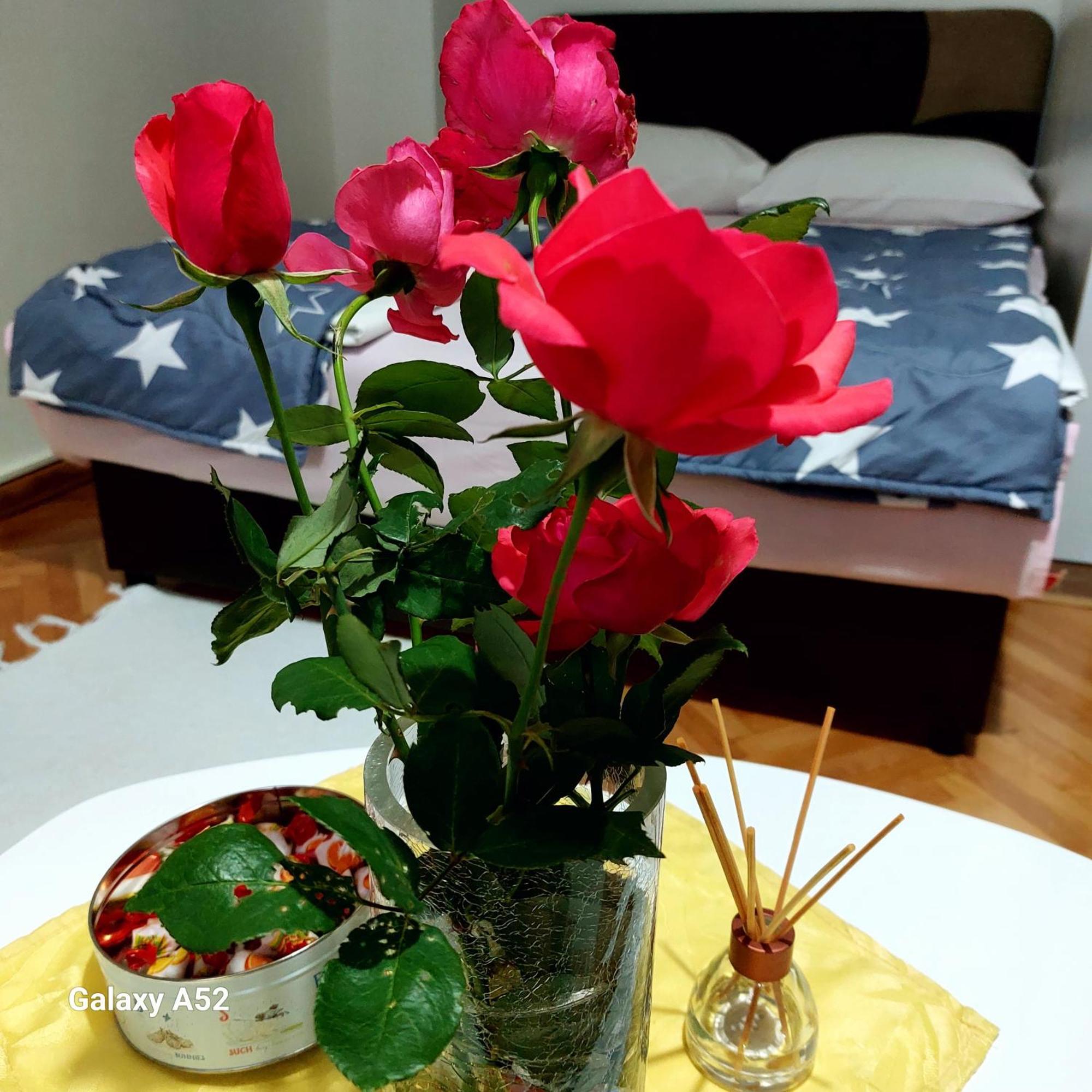 Apartman Pavle 플루지네 외부 사진