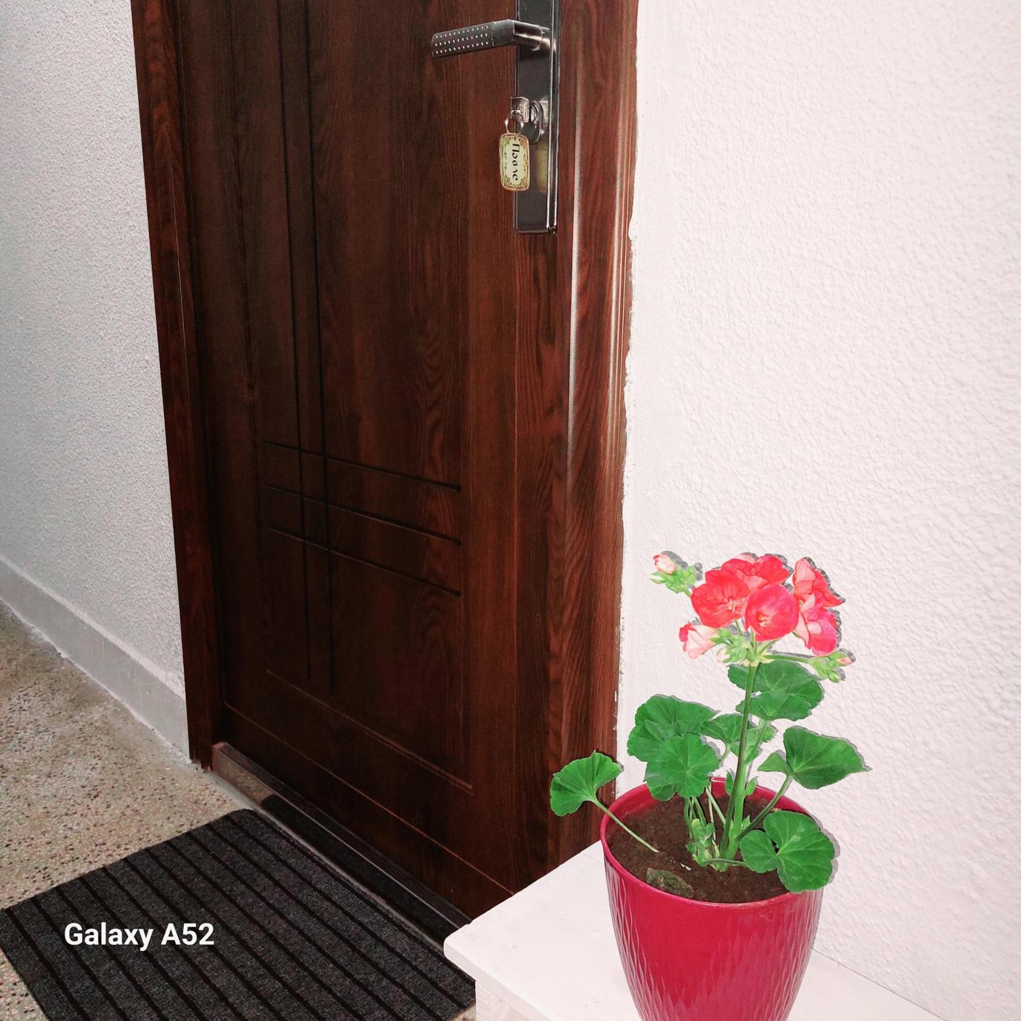 Apartman Pavle 플루지네 외부 사진